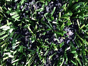 Synthetic Turf Maintenance