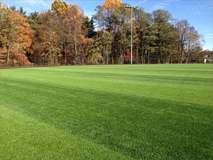 Synthetic Turf Maintenance